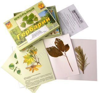 Раздаточный комплект по биологии